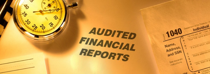 Baitulmalorganization Audit Reports